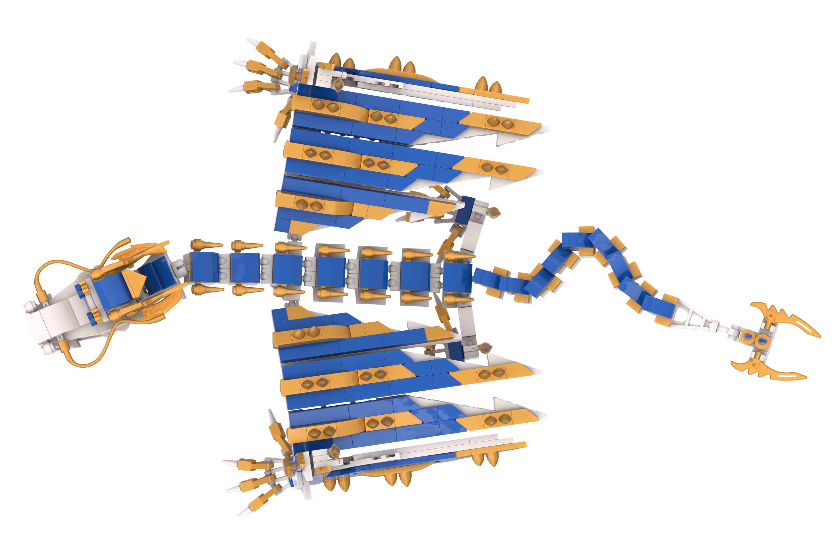 Zmago seen from directly above, head on the left, tail on the right